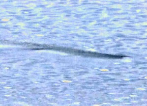 Effectplus_20160301_225423