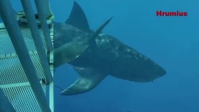 Screenshot_2015-12-22-18-28-13