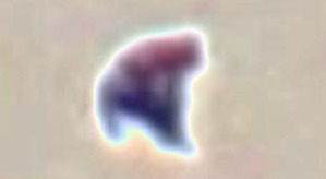 Effectplus_20160517_213306