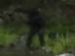 Screenshot_2016-03-13-10-47-45