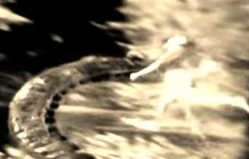 Screenshot_2015-11-03-12-14-51