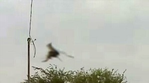 Screenshot_2016-02-27-05-51-24