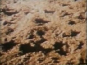 Screenshot_2015-10-12-10-22-13