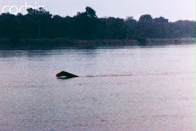 5a6db576.jpg