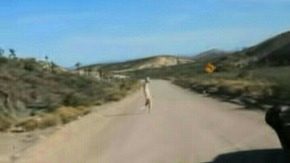 Screenshot_2015-11-26-18-16-09