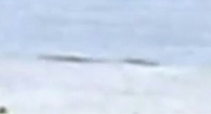 Screenshot_2016-05-11-19-33-38