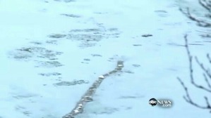 Screenshot_2016-02-19-01-43-27