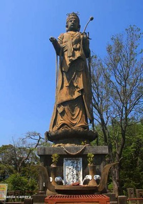 5c337764.jpg