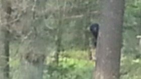 Screenshot_2015-11-18-09-56-59