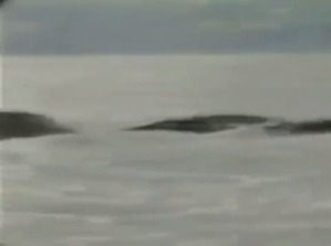 Screenshot_2016-04-06-12-15-37