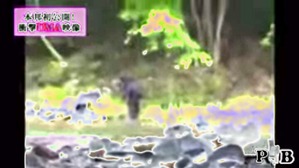 Effectplus_20160313_105050