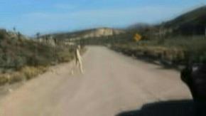 Screenshot_2015-11-26-18-18-07