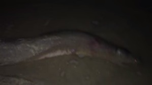 Screenshot_2016-02-19-02-24-33