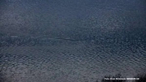 Screenshot_2016-03-01-22-45-48