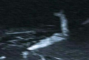 Screenshot_2015-12-21-13-37-21