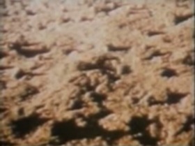 Screenshot_2015-10-12-10-22-27