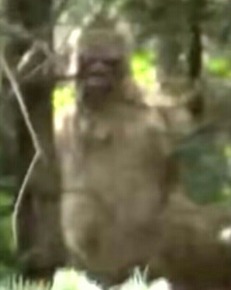 Screenshot_2016-03-13-23-26-36