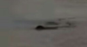 Screenshot_2016-04-12-22-33-12