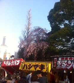 619a0fb6.jpg