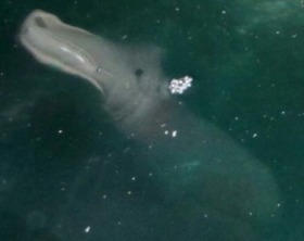 Screenshot_2015-10-29-10-20-35