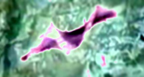 Effectplus_20151224_023049