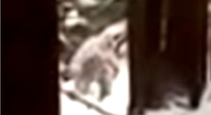 Screenshot_2016-05-07-17-37-03