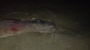 Screenshot_2016-02-19-02-24-59