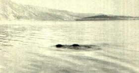elmonstruodelsilverlake-d9f9nessie20-thumb49