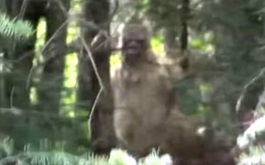 Screenshot_2016-03-13-23-24-10