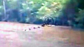 Effectplus_20151204_211522