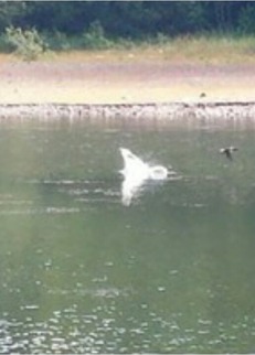 Screenshot_2015-10-10-16-47-47