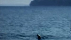 Screenshot_2016-03-31-03-43-27