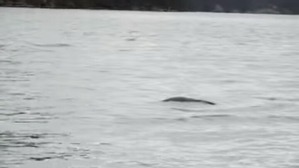 Screenshot_2016-06-29-04-24-07