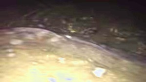 Effectplus_20160219_023014