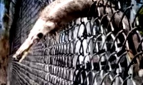 Screenshot_2015-11-25-02-18-18