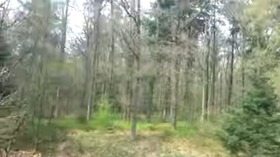 Screenshot_2015-11-18-09-56-20