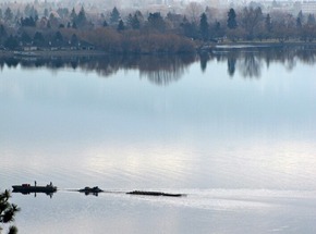 Screenshot_2016-01-26-02-30-48