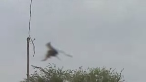 Screenshot_2016-02-27-05-50-54