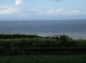 Screenshot_2016-05-11-19-28-49