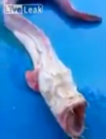 Screenshot_2016-04-30-08-06-25