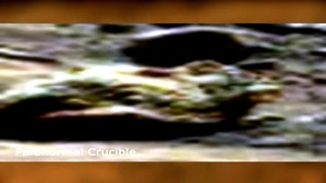 Screenshot_2016-03-26-02-41-02