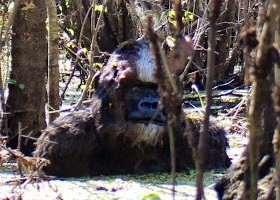 6d256ef2.jpg