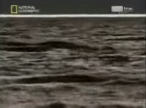 Screenshot_2015-12-28-07-10-35