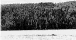 6e38628b.jpg
