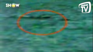 Screenshot_2016-05-27-06-48-18