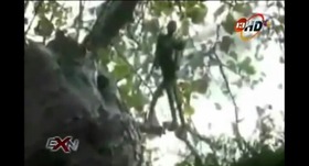 Screenshot_2015-09-12-10-46-17