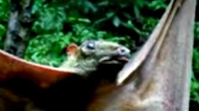 Effectplus_20151109_235015