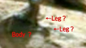 Screenshot_2016-01-16-12-00-57