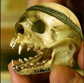 Screenshot_2016-01-19-18-49-22