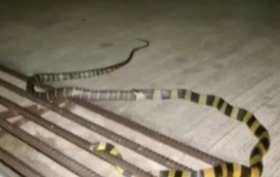 Screenshot_2015-11-20-13-29-13